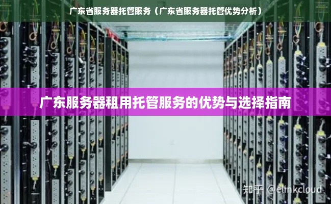 广东服务器租用托管服务的优势与选择指南