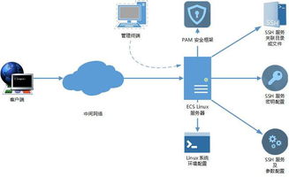 云服务器托管引流，优化您的在线业务并吸引更多客户