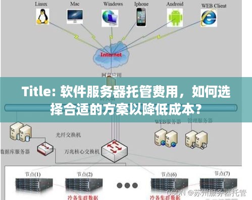 Title: 软件服务器托管费用，如何选择合适的方案以降低成本？