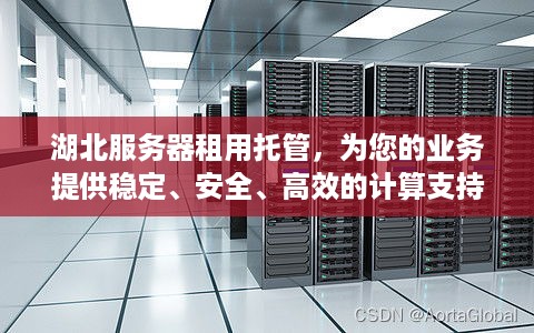 湖北服务器租用托管，为您的业务提供稳定、安全、高效的计算支持