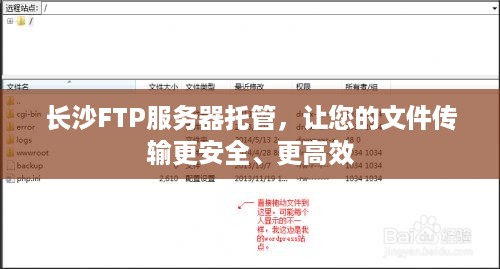 长沙FTP服务器托管，让您的文件传输更安全、更高效