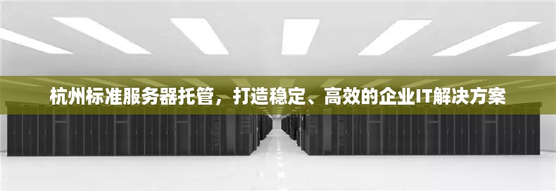 杭州标准服务器托管，打造稳定、高效的企业IT解决方案