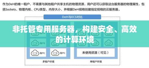 非托管专用服务器，构建安全、高效的计算环境