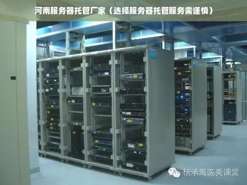 河南服务器托管价的优劣势分析及选择建议