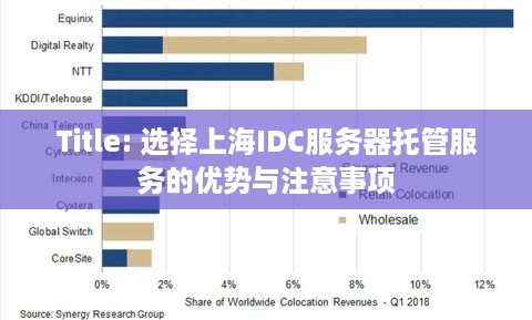 Title: 选择上海IDC服务器托管服务的优势与注意事项