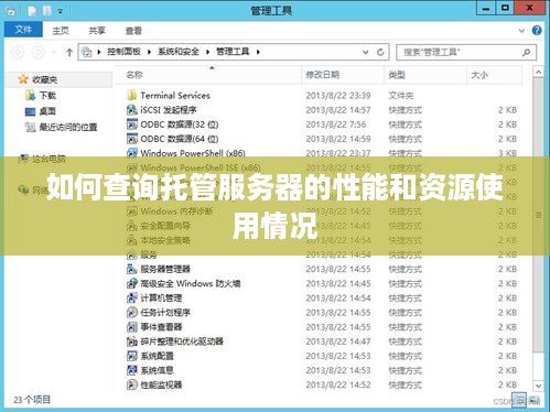 如何查询托管服务器的性能和资源使用情况