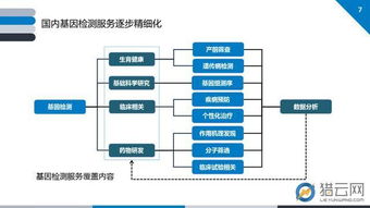 浙江服务器托管市价分析与解读