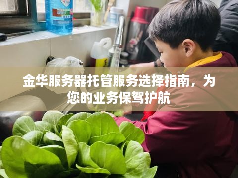 金华服务器托管服务选择指南，为您的业务保驾护航