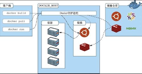 代码托管云服务器，构建高效开发环境的关键