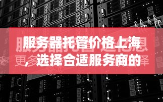 服务器托管价格上海，选择合适服务商的关键因素和建议