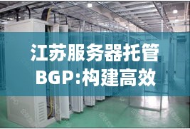 江苏服务器托管BGP:构建高效稳定的网络环境