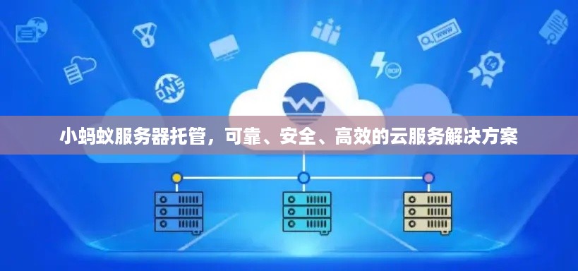 小蚂蚁服务器托管，可靠、安全、高效的云服务解决方案
