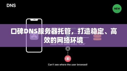 口碑DNS服务器托管，打造稳定、高效的网络环境