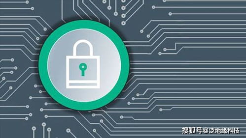 口碑web服务器托管，可靠、安全、高效的云端解决方案