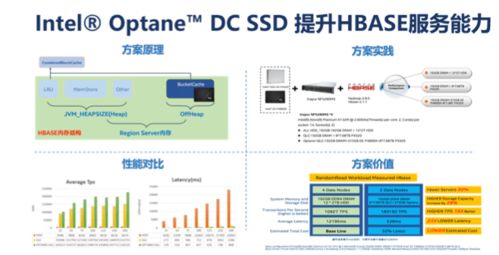 中国服务器托管公司，助力企业数字化转型的基础设施守护者