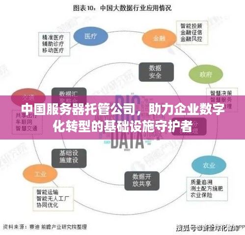 中国服务器托管公司，助力企业数字化转型的基础设施守护者