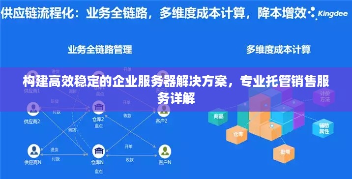 构建高效稳定的企业服务器解决方案，专业托管销售服务详解
