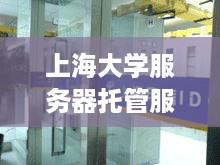 上海大学服务器托管服务，为您的在线未来提供稳定与安全