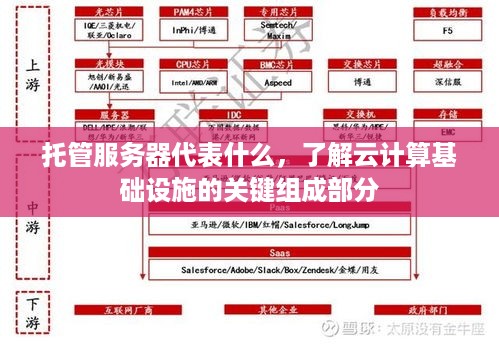 托管服务器代表什么，了解云计算基础设施的关键组成部分