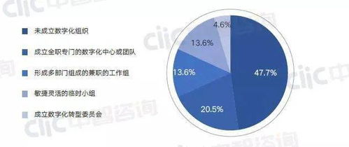 湖北云端服务器托管，助力企业数字化转型与持续发展