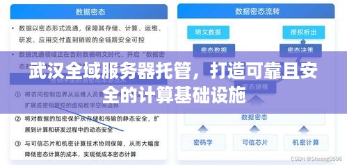 武汉全域服务器托管，打造可靠且安全的计算基础设施