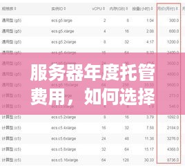服务器年度托管费用，如何选择合适的服务商以降低成本