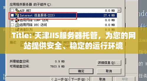 Title: 天津IIS服务器托管，为您的网站提供安全、稳定的运行环境