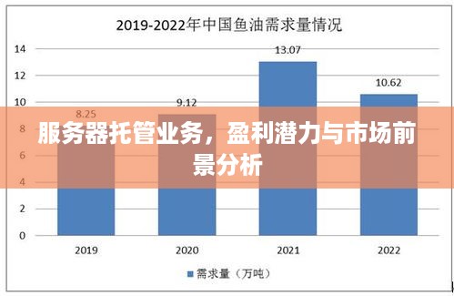 服务器托管业务，盈利潜力与市场前景分析