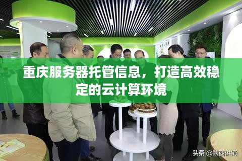 重庆服务器托管信息，打造高效稳定的云计算环境