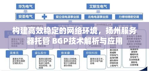 构建高效稳定的网络环境，扬州服务器托管 BGP技术解析与应用