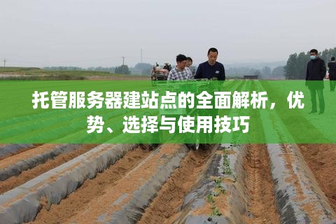 托管服务器建站点的全面解析，优势、选择与使用技巧