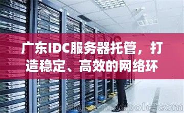 广东IDC服务器托管，打造稳定、高效的网络环境