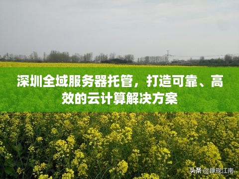 深圳全域服务器托管，打造可靠、高效的云计算解决方案