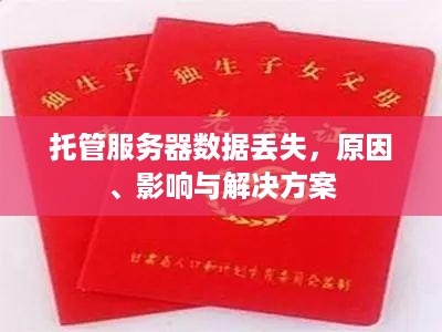 托管服务器数据丢失，原因、影响与解决方案