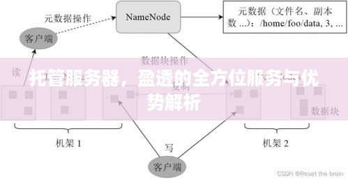 托管服务器，盈透的全方位服务与优势解析