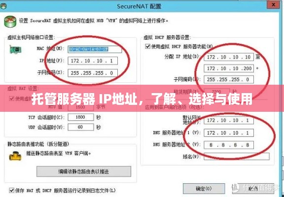 托管服务器 IP地址，了解、选择与使用