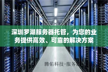 深圳罗湖服务器托管，为您的业务提供高效、可靠的解决方案