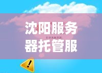 沈阳服务器托管服务选择指南，哪家公司更值得信赖？