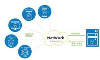 广东服务器托管规定，保障网络安全与数据隐私