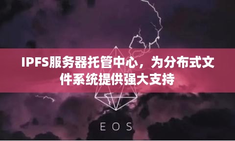 IPFS服务器托管中心，为分布式文件系统提供强大支持