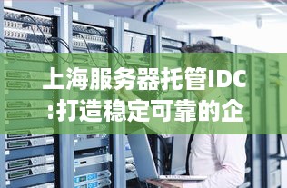 上海服务器托管IDC:打造稳定可靠的企业IT基础设施