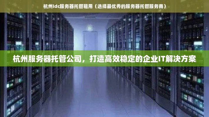 杭州服务器托管公司，打造高效稳定的企业IT解决方案