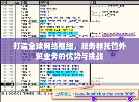 打造全球网络枢纽，服务器托管外贸业务的优势与挑战