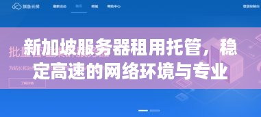 新加坡服务器租用托管，稳定高速的网络环境与专业服务助力企业全球化