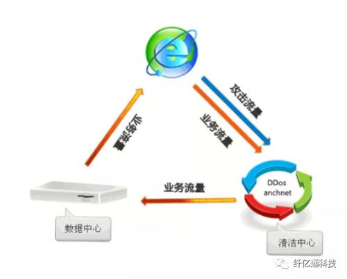 优化网站性能，服务器托管与内容分发网络(CDN)的融合之道