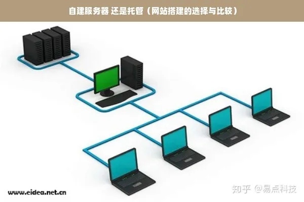 网站托管服务器区别，如何选择适合您的解决方案？