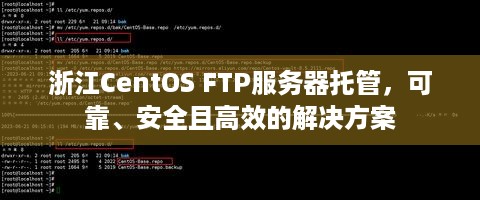 浙江CentOS FTP服务器托管，可靠、安全且高效的解决方案