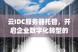 云IDC服务器托管，开启企业数字化转型的新篇章