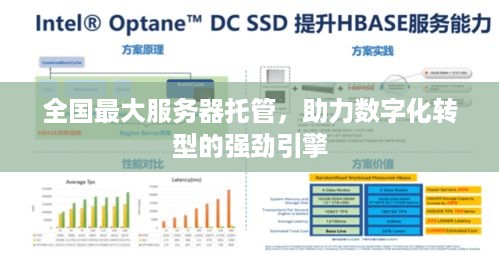 全国最大服务器托管，助力数字化转型的强劲引擎