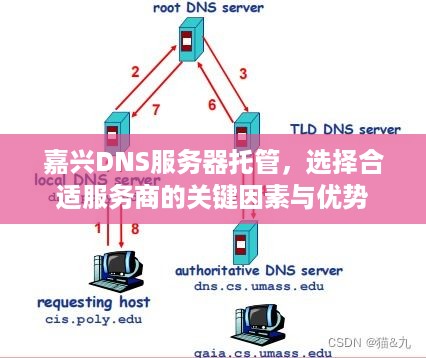 嘉兴DNS服务器托管，选择合适服务商的关键因素与优势